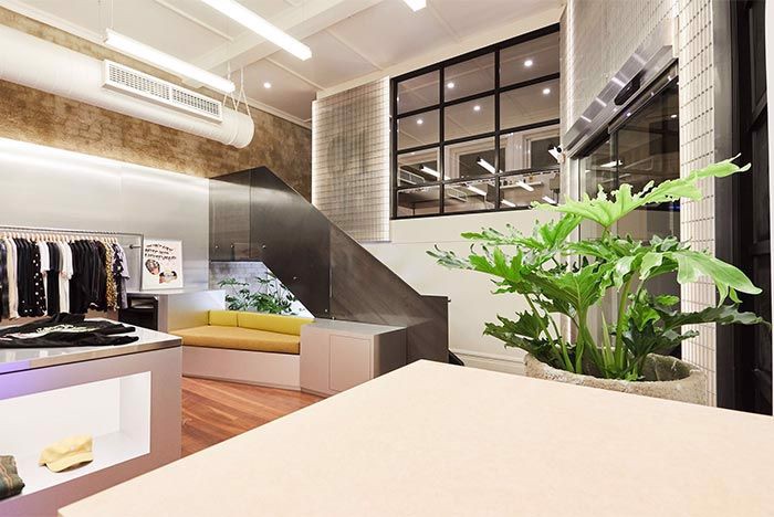 tro-chuyen-cung-matt-thomas---chu-so-huu-cua-cua-hang-sneaker-highs-and-lows