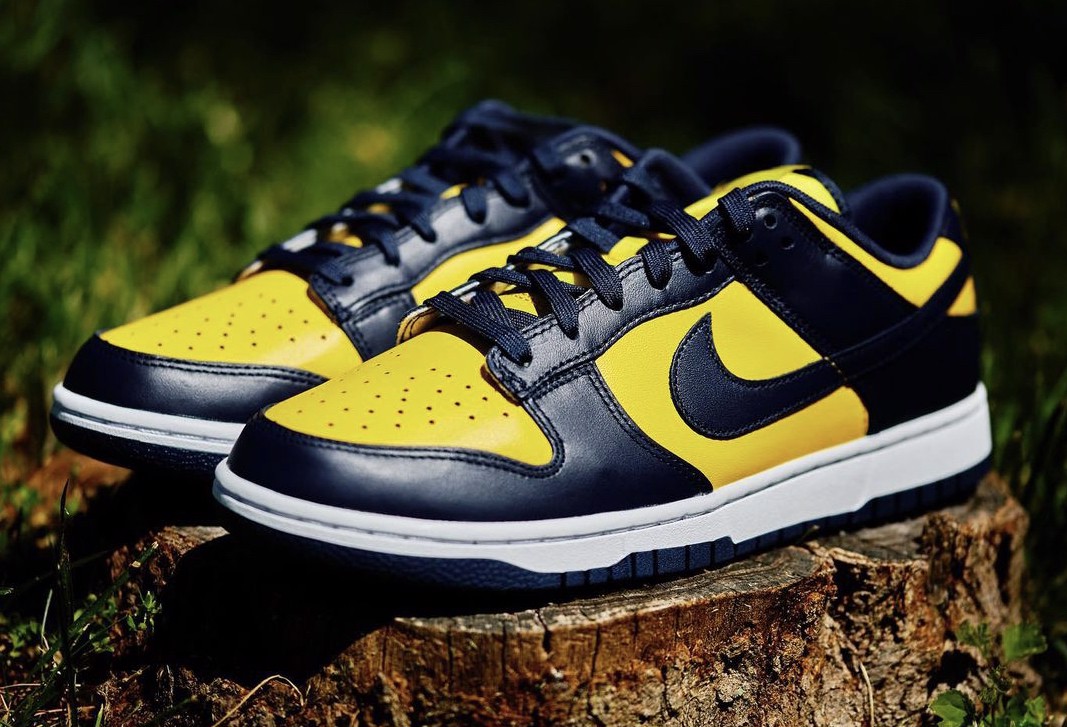 nho-truong-hoc-u-nhung-thiet-ke-nay-la-danh-cho-ban