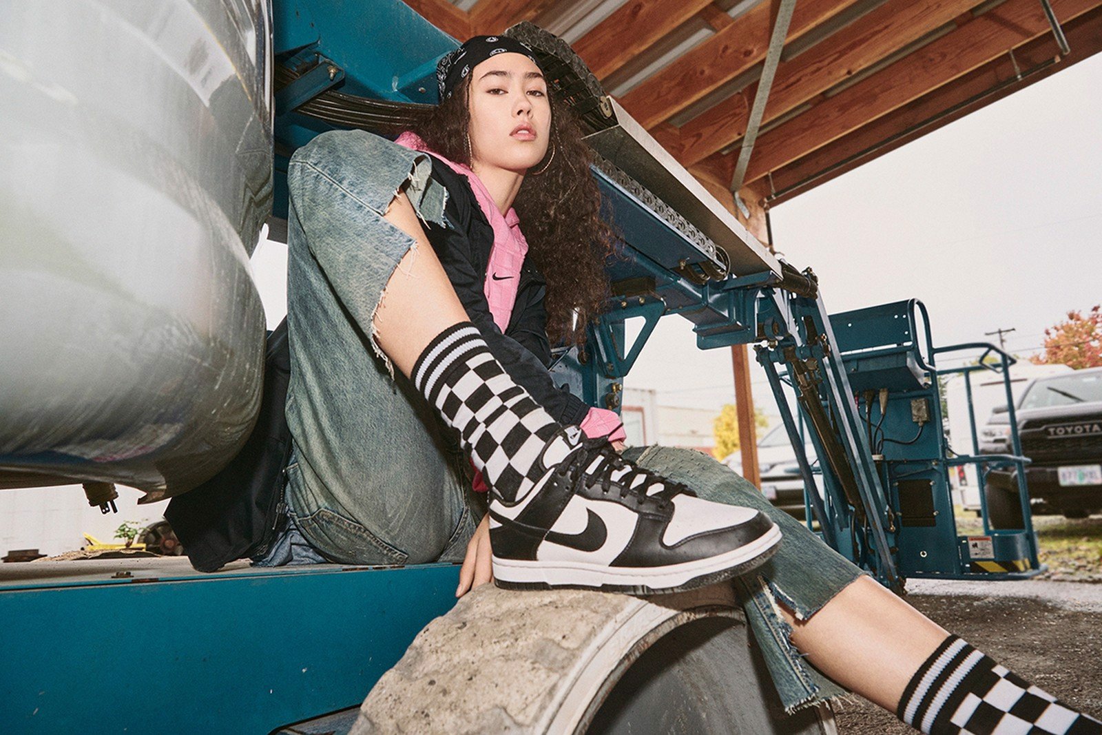 nhung-dieu-ban-can-biet-ve-nike-dunk-low-truoc-khi-muon-so-huu-chung