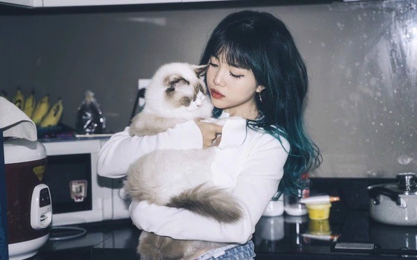 nguoi-tinh-bi-mat-moi-cua-linh-ngoc-dam-nike-air-jordan