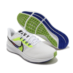 Giay Nike Pegasus 39 'Summit White Blue' DX1627-100