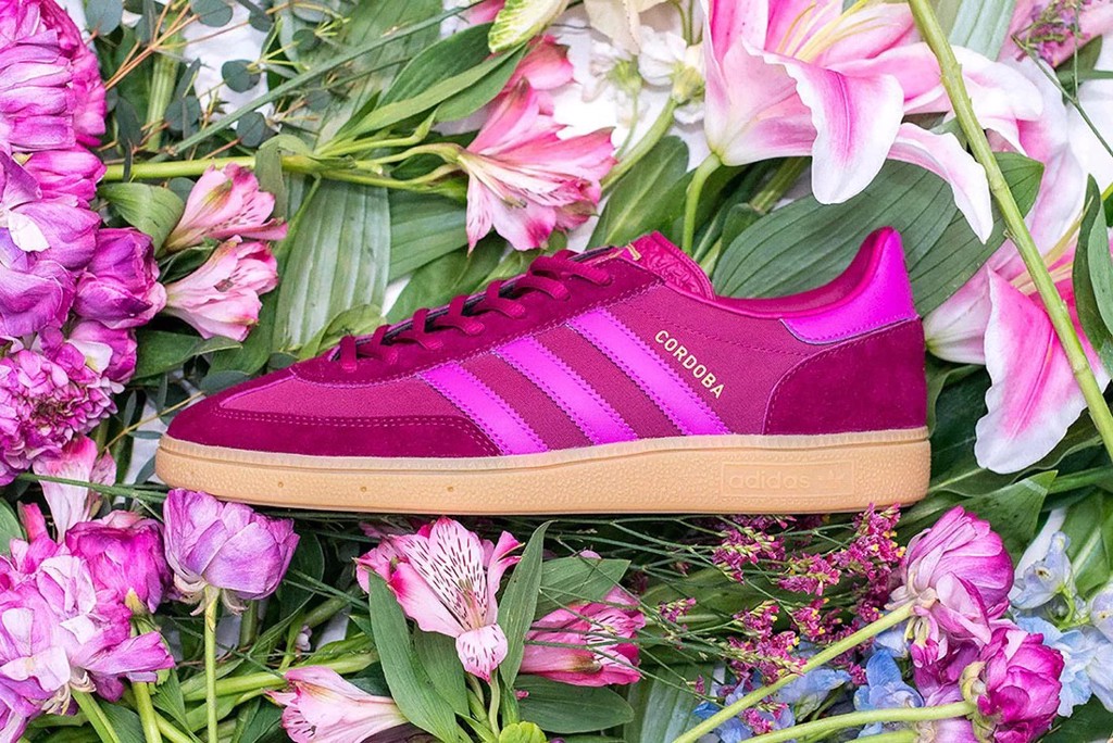 size-va-adidas-co-phien-ban-cordoba-mong-mer-moi