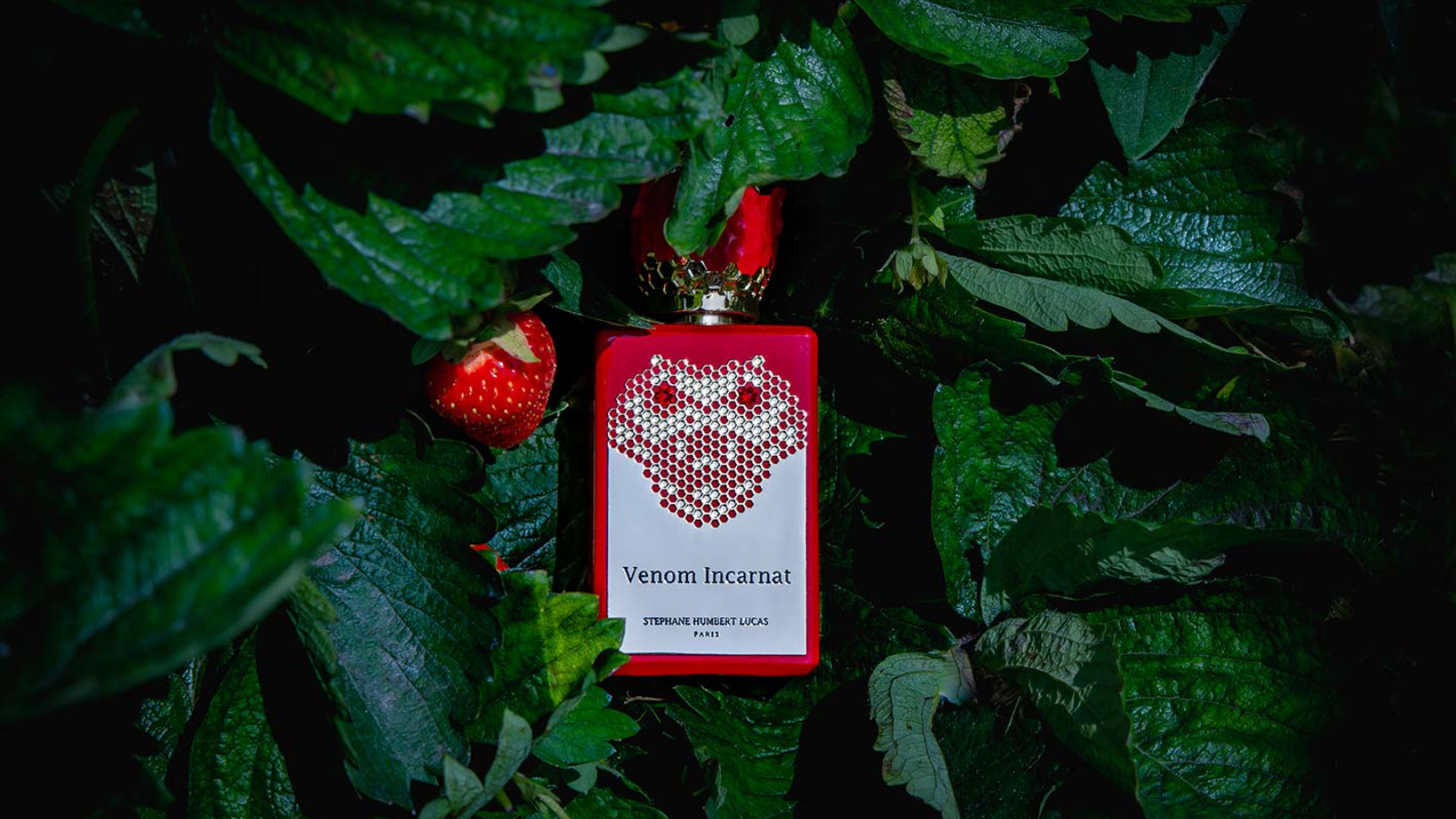 Hinh anh 8: 15 huong nuoc hoa ly tuong cho mua thu 2022 (Phan 2)