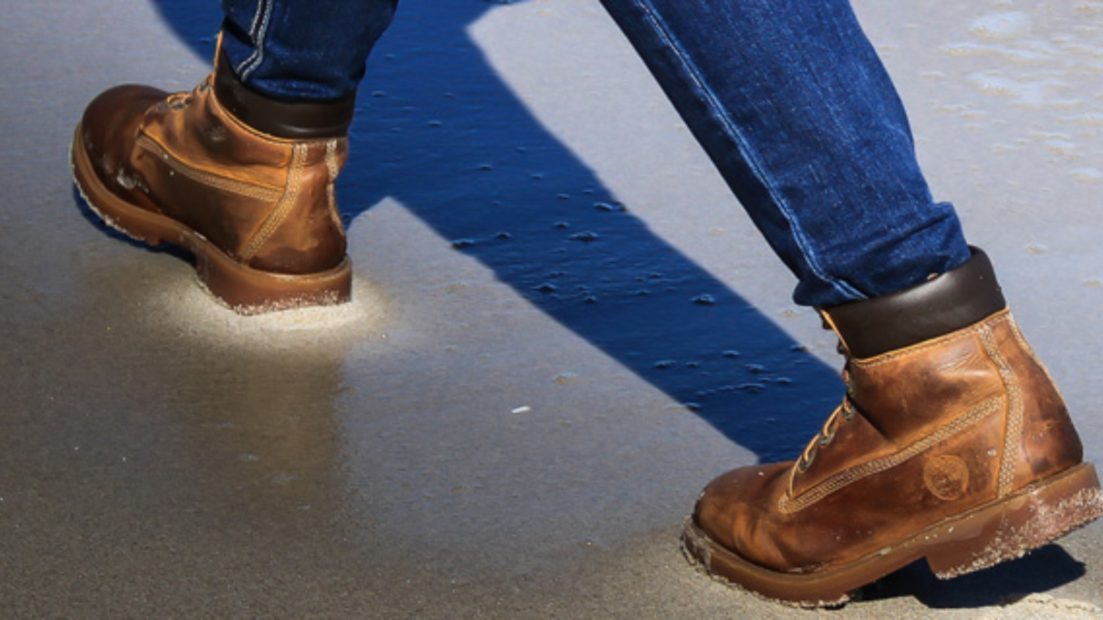 Hinh anh 11: 10 dieu co the ban chua biet ve nhung doi bot co dien Timberland