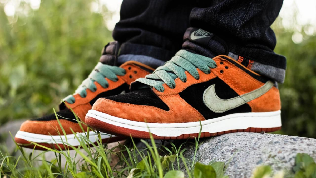 Hinh anh 19: Nike Dunk va Nike SB Dunk duoc hinh thanh va phat trien nhu the nao?