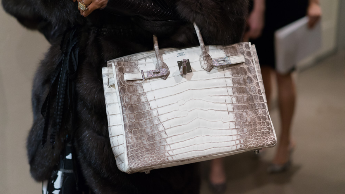 Hinh anh 6: Birkin & Kelly: Dau moi la chiec tui mang tinh bieu tuong cua Hermes?