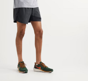 Giay Nike Air Zoom Pegasus 39 'A.I.R. Hola Lou' DO9500-300