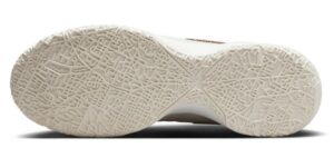 Giay Nike Zoom LeBron NXXT Gen 'Light Orewood Brown' DR8784-100