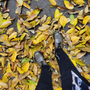 Giay Dr. Martens 1461 Bex Smooth Leather Oxford Shoes 'Khaki Grey' 27141481