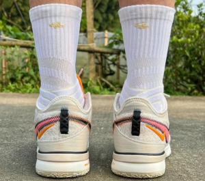 Giay Nike Zoom LeBron NXXT Gen 'Light Orewood Brown' DR8784-100