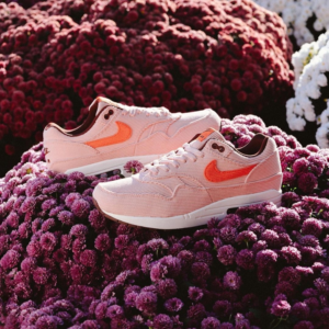 Giay Nike Air Max 1 PRM Corduroy 'Coral Stardust' FB8915-600