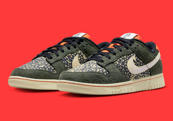 Giày Nike Dunk Low SE 'Rainbow Trout' FN7523-300 - Hình ảnh 6