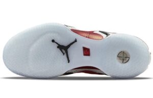 Giay Nike Air Jordan 36 PE 'Rui Hachimura' DJ4485-600