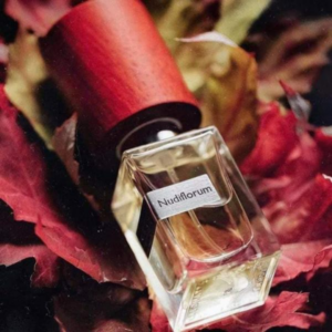 Nuoc Hoa Nasomatto Nudiflorum Extrait De Parfum