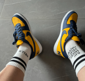 Giay Nike Terminator Low 'University Gold Navy' FJ4206-700