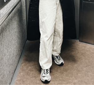 Giay Salomon Speedverse PRG 'Silver Frost' L41754500