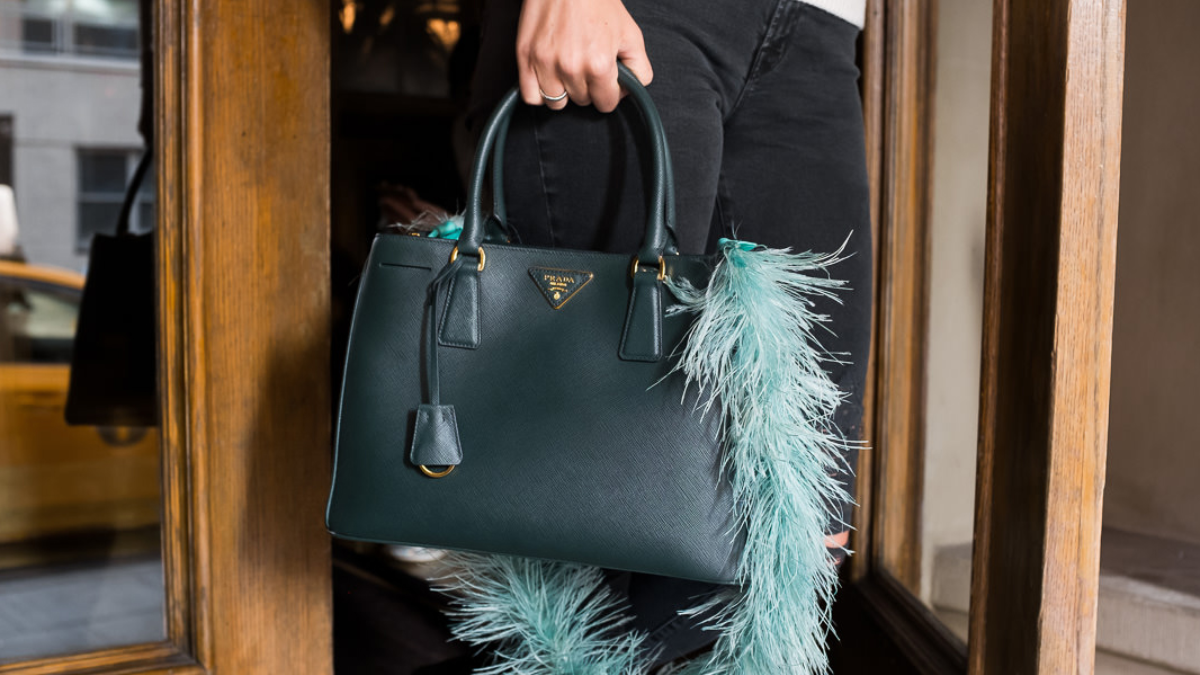 Hinh anh 7: Moi quan he giua tui thiet ke va khai niem cua su sang trong la gi?