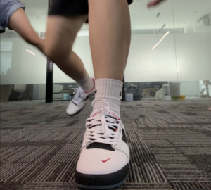 Giay Nike Ishod Wair Premium SB 'Chicago' DZ5648-100