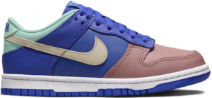 Giày Nike Dunk Low SE GS 'Salmon Toe' DZ2873-400