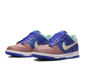 Giay Nike Dunk Low SE GS 'Salmon Toe' DZ2873-400