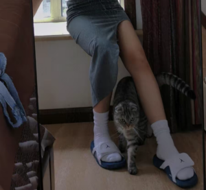 Dep Nike Air Jordan Hydro 12 'White French Blue' 820267-107