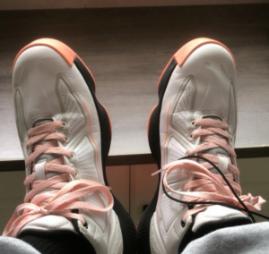 Giay Adidas D Rose 10 'White Pink' EH2129