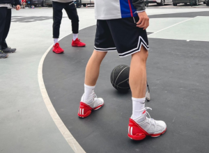 Giay Adidas D Rose 1.5 'Grey White Red' GY0257