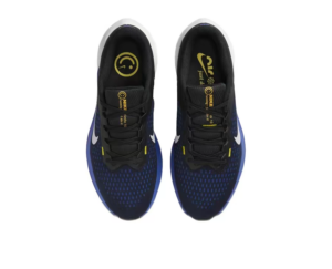 Giay Nike Winflo 10 'Black Blue' DV4022-005