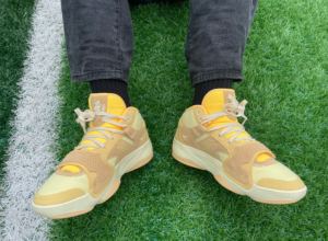 Giay Nike Air Jordan Zion 2 PF 'Full Moon' FJ2956-200