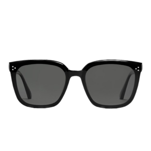 Kinh Gentle Monster Palette 01 'Black'