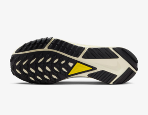 Giay Nike Pegasus Trail 4 GORE-TEX 'Black' DJ7926-005