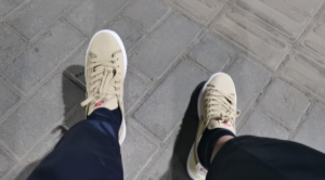 Giay Nike Blazer Court SB x DVD Linden 'Grain' CZ5605-201