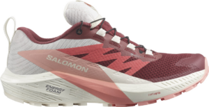Giay Salomon Sense Ride 5 'Bunt' L47314500