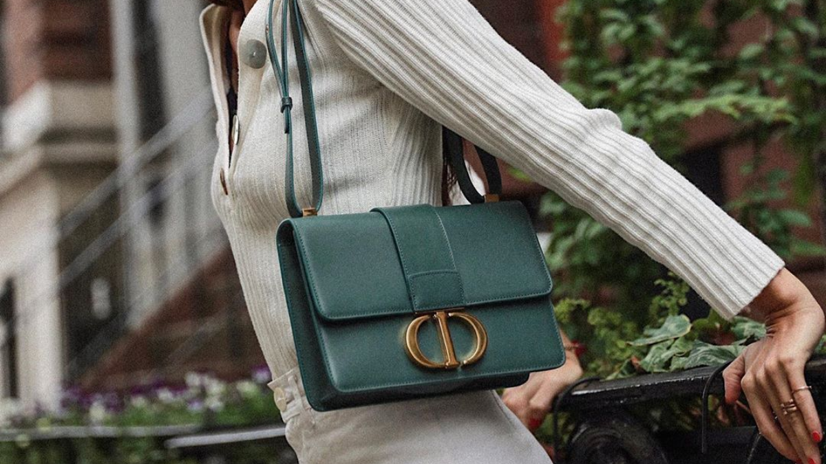 Hinh anh 11: 10 mau tui Dior tot nhat 2023: Noi chat luong va phong cach hoi tu