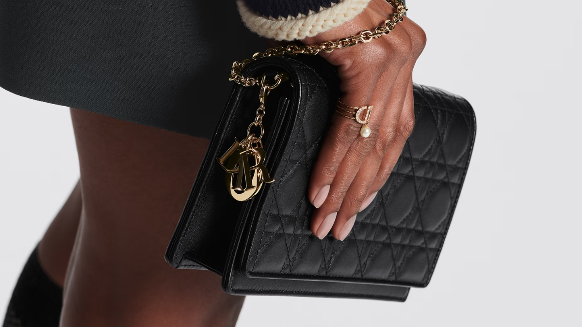 Hinh anh 8: 10 mau tui Dior tot nhat 2023: Noi chat luong va phong cach hoi tu