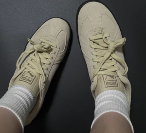 Giay Puma Army Trainer Suede 'Granola Chocolate' 388156-10