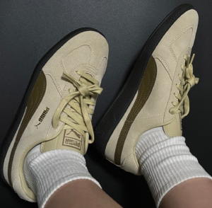 Giay Puma Army Trainer Suede 'Granola Chocolate' 388156-10