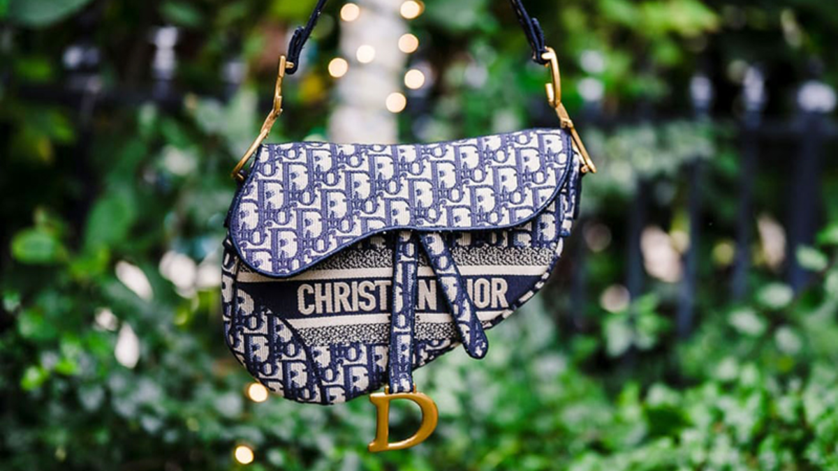 Hinh anh 4: 6 mau tui xach xa xi dang dau tu nhat danh cho phai nu