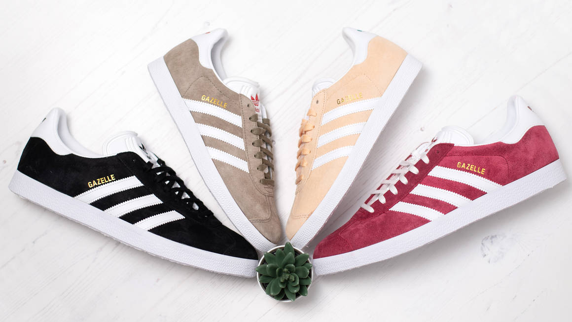 Hinh anh 2: Adidas Gazelle va nhung bi mat dang sau doi giay co dien