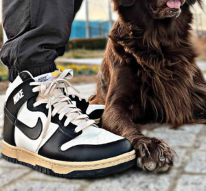 Giay Nike Dunk High Retro 'Vintage Panda' DZ4732-133