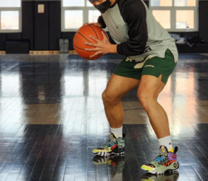 Giay Lining Way Of Wade 10 'Zoo' ABAS075-3