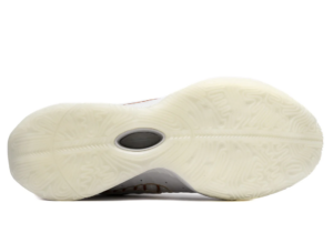 Giay Nike Lebron XXI 'Akoya' FV2345-001