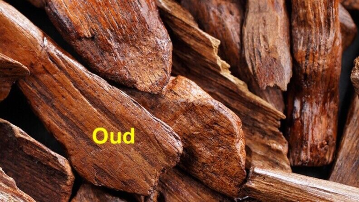 Hinh anh 5: Nuoc hoa Oud: Tinh hoa den tu A Rap