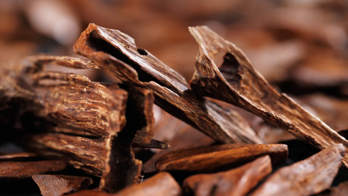 Hinh anh 6: Nuoc hoa Oud: Tinh hoa den tu A Rap