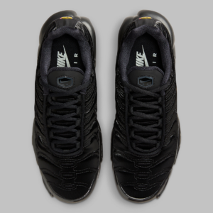 Giay Nike Air Max Plus 'Black Anthracite Sail' FV1169-001