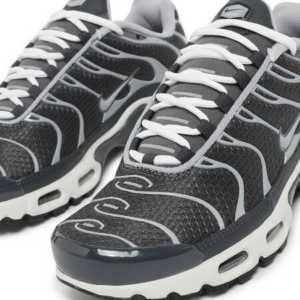 Giay Nike Air Max Plus 'Greyscale Cool Grey' DZ2655-001