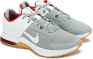 Giay Nike Air Max Alpha Trainer 4 'Light Smoke Grey White' CW3396-006