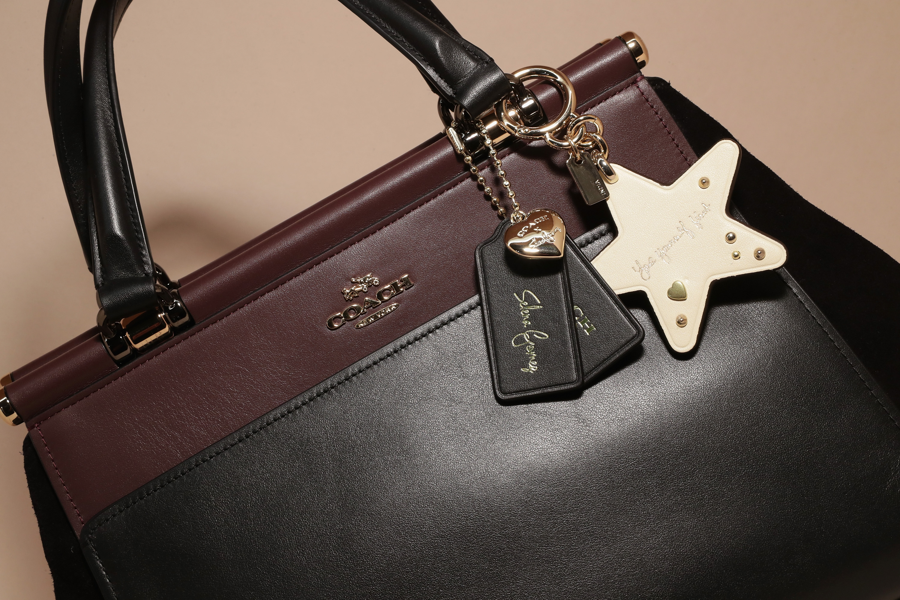 Hinh anh 1: Thuong hieu Coach va nhung bi an ve su thanh cong