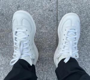 Giay Adidas BW Army 'White Tint' HP5516