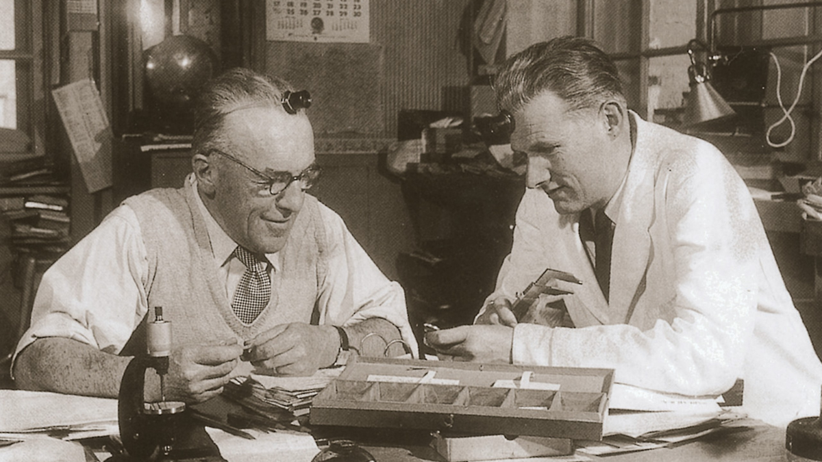 Hinh anh 5: Pha vo quy tac: Lich su dang sau thuong hieu Audemars Piguet